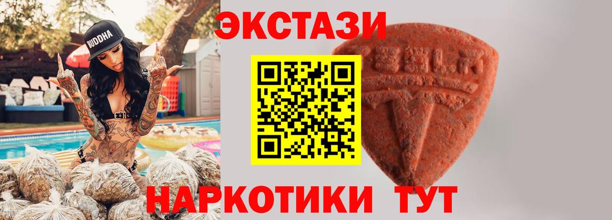 Каменка  Ecstasy  Вход с VPN  Экстази Philipp Plein 