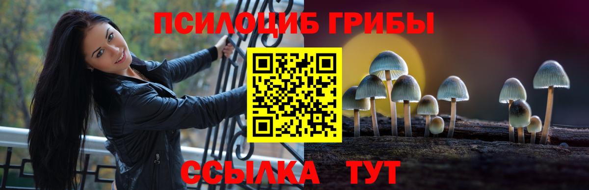 Псилоцибиновые грибы GOLDEN TEACHER  как найти   Каменка  Вход с VPN 